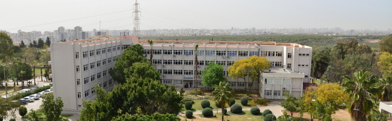 Genel Görünüm