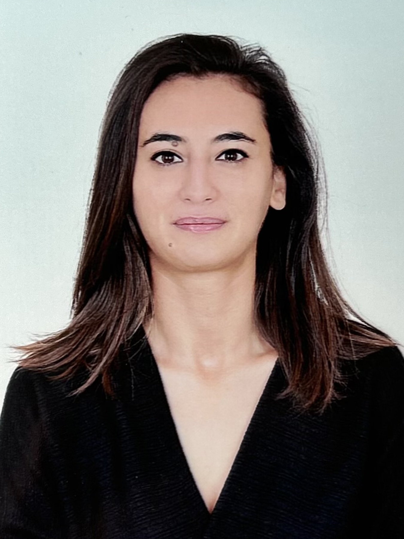 MERİH AKKAPULU