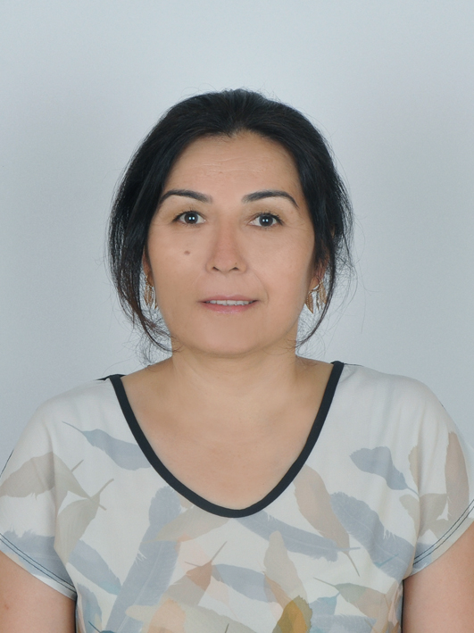 AYŞE DURSUN