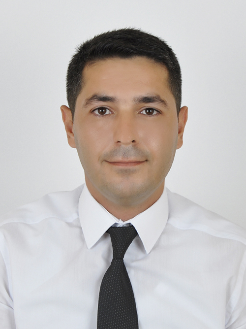 MEHMET ERGİŞİ