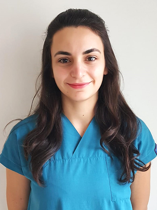 GÖNÜL SARI PİRE