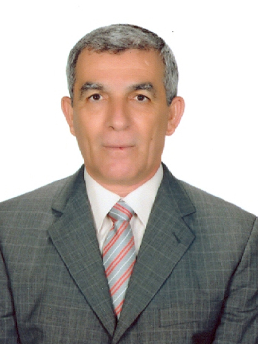 HACI İBRAHİM EKİZ