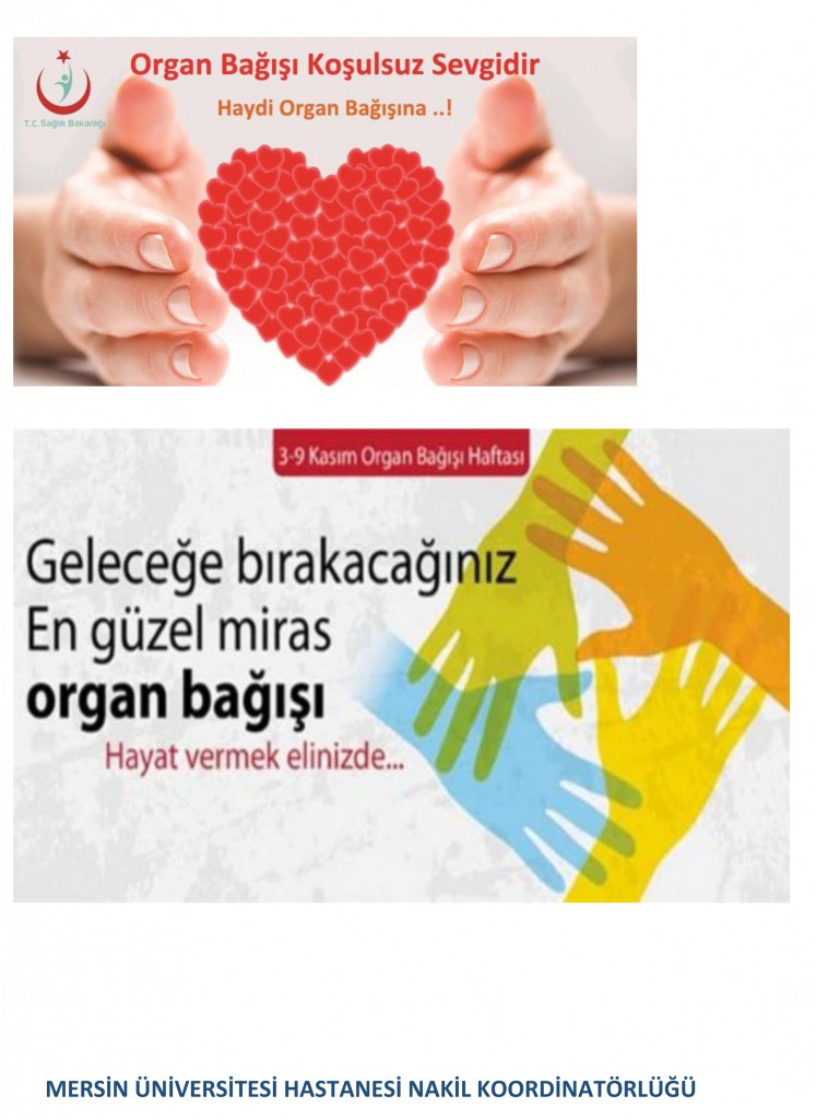 Tekirdağ Namık Kemal Üniversitesi Lisansüstü Başvuru Sistemi